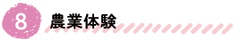農業体験