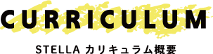 STELLA カリキュラム概要